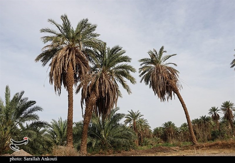 استان کرمان , 