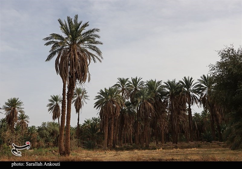 استان کرمان , 