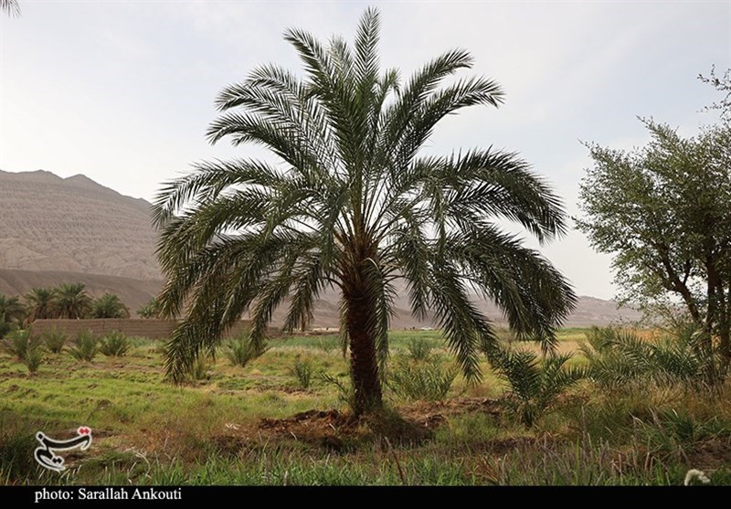 استان کرمان , 