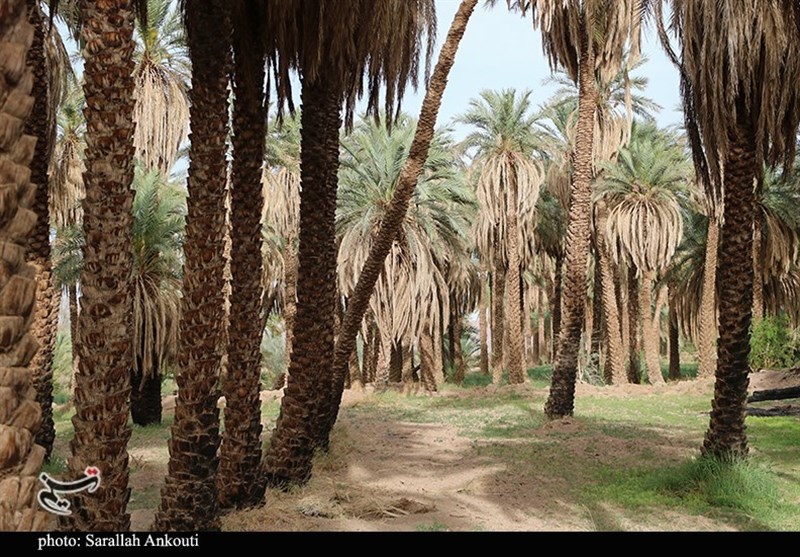 استان کرمان , 