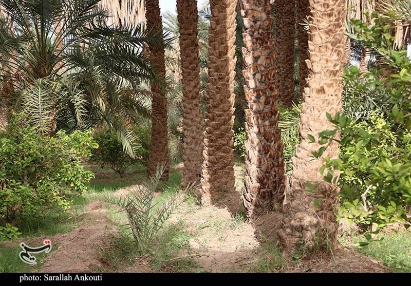 استان کرمان , 