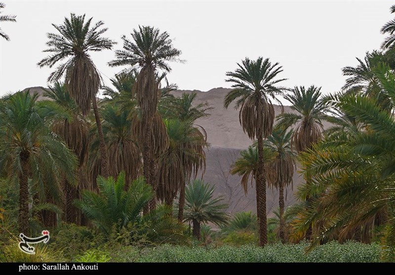 استان کرمان , 