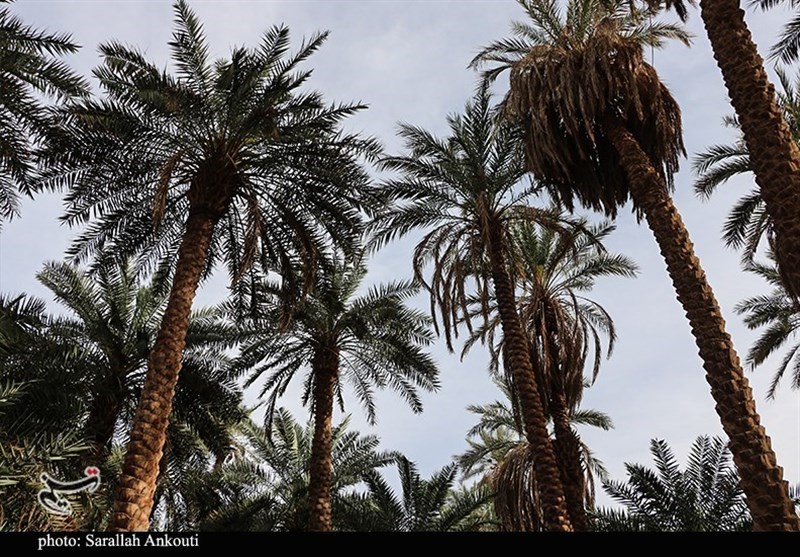 استان کرمان , 