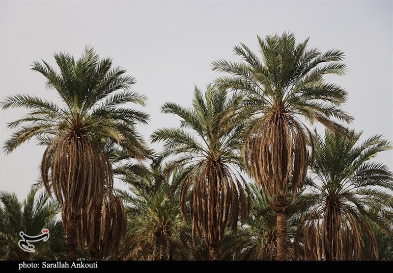 استان کرمان , 