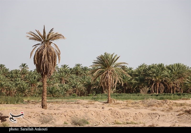 استان کرمان , 