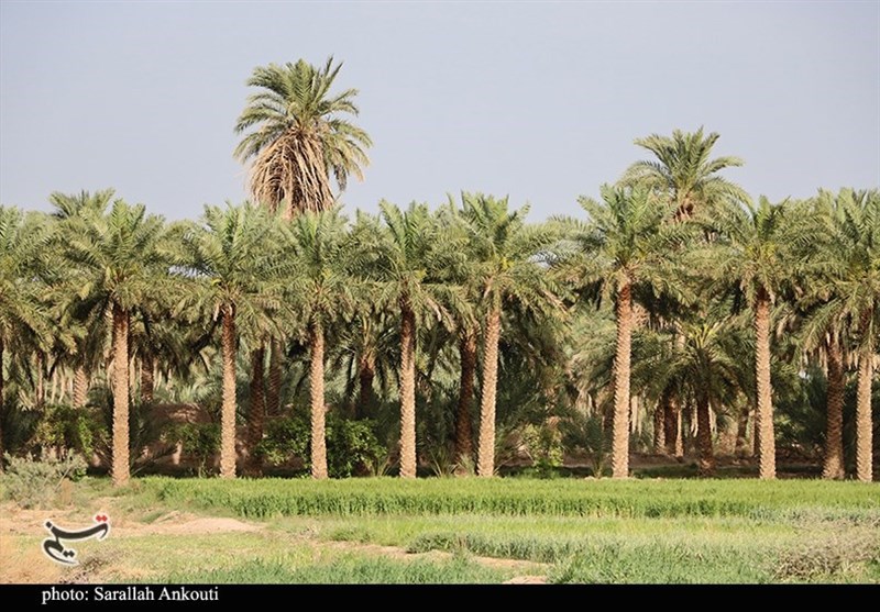 استان کرمان , 