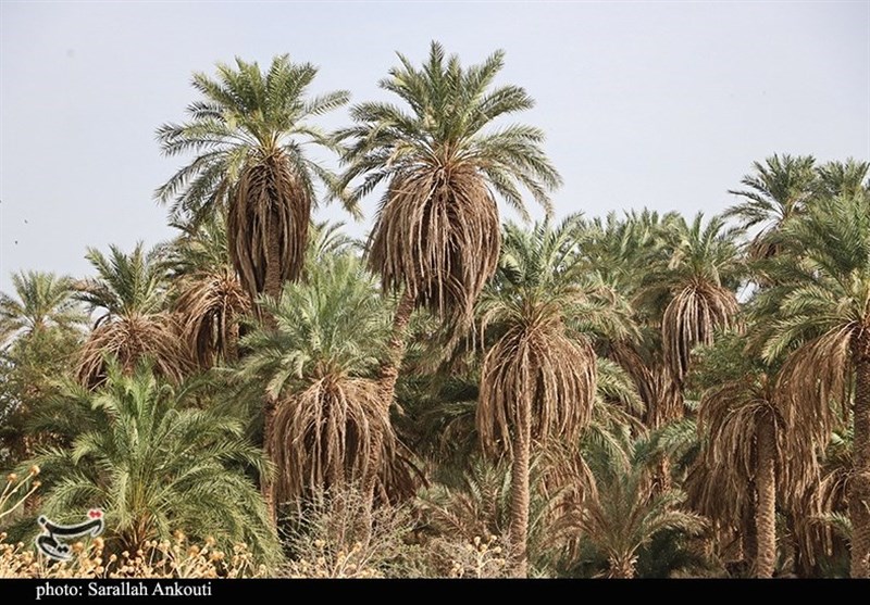 استان کرمان , 