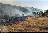 گرمای تابستان زنگ خطر آتش‌سوزی در مراتع شاهرود را به صدا درآورد