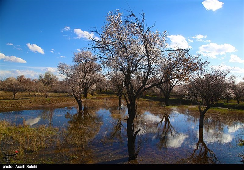 استانداری قزوین , شورای اسلامی استان قزوین , گردشگری سلامت , عید نوروز , 