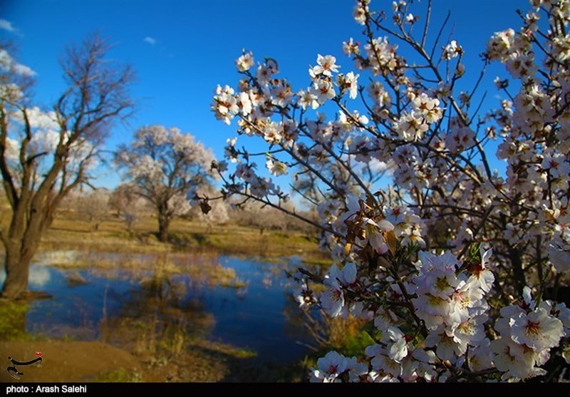 استانداری قزوین , شورای اسلامی استان قزوین , گردشگری سلامت , عید نوروز , 