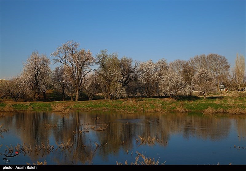 استانداری قزوین , شورای اسلامی استان قزوین , گردشگری سلامت , عید نوروز , 
