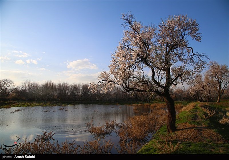 استانداری قزوین , شورای اسلامی استان قزوین , گردشگری سلامت , عید نوروز , 