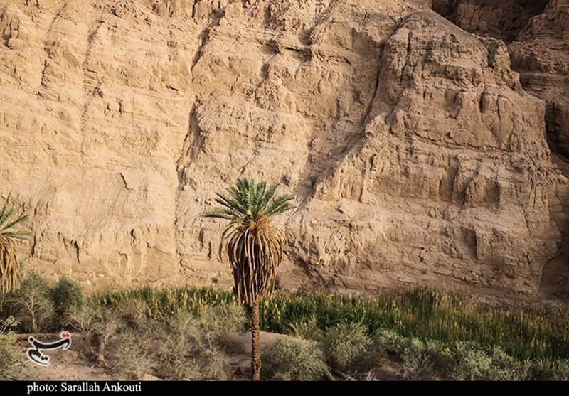 استان کرمان , 