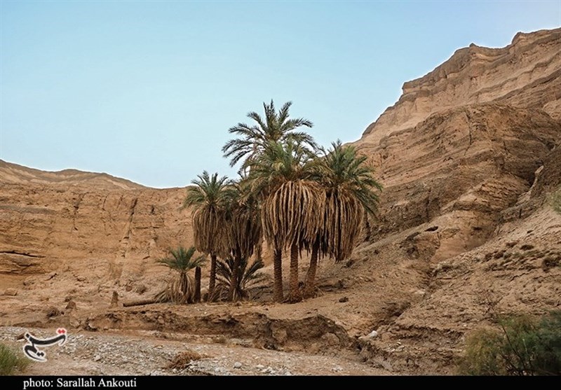 استان کرمان , 