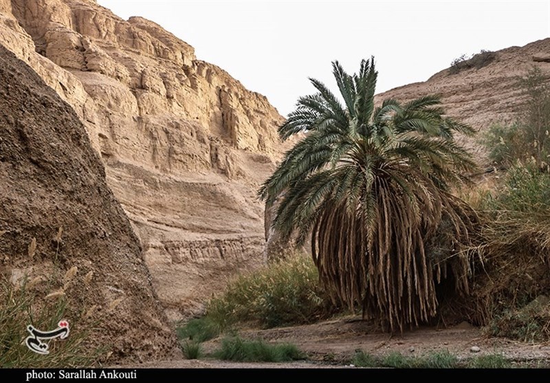 استان کرمان , 