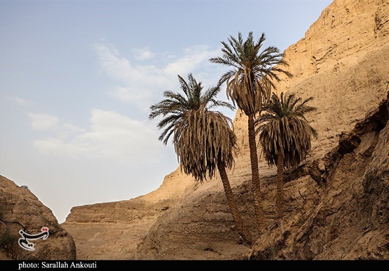 استان کرمان , 