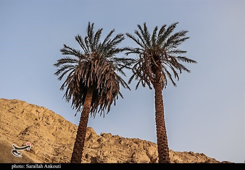 استان کرمان , 