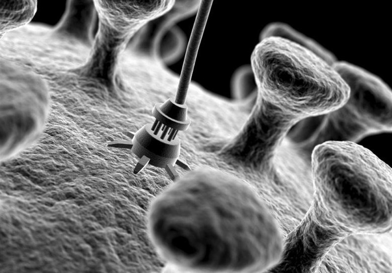 علم و تکنولوژی , علمی , فناوری نانو , ستاد ویژه توسعه فناوری نانو , 