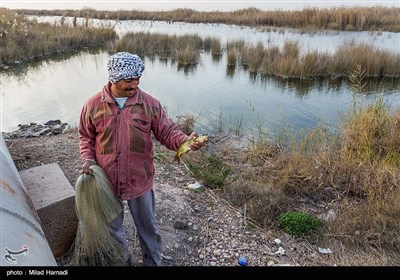 ماهیگیری در حاشیه جاده شادگان - اهواز