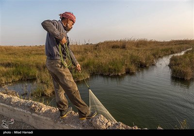 ماهیگیری در حاشیه جاده شادگان - اهواز