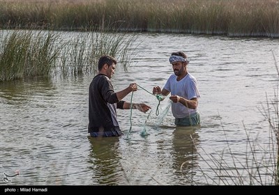 ماهیگیری در حاشیه جاده شادگان - اهواز