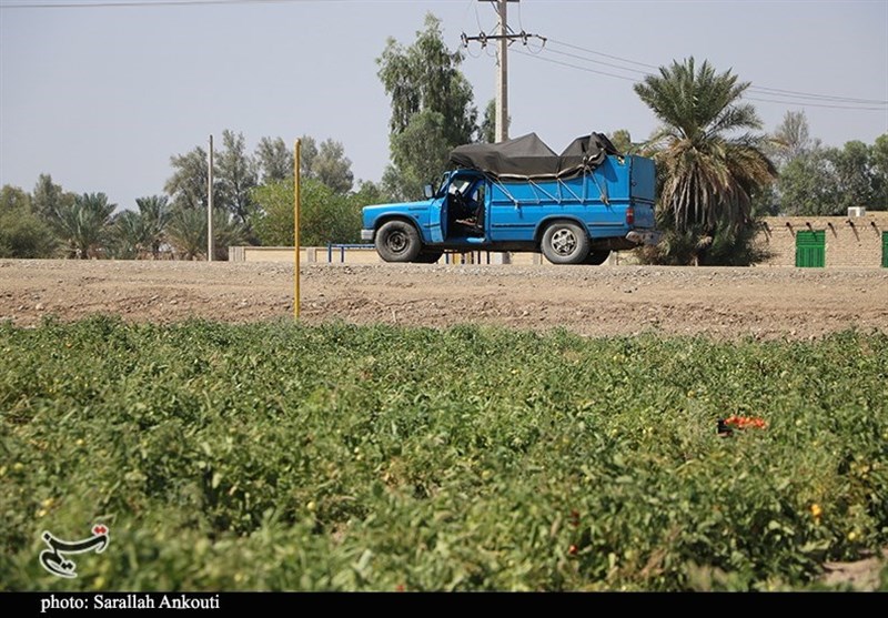 استان کرمان , کشاورزی , 