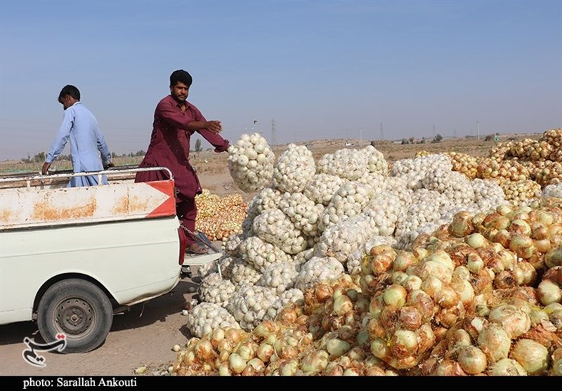 استان کرمان , کشاورزی ,