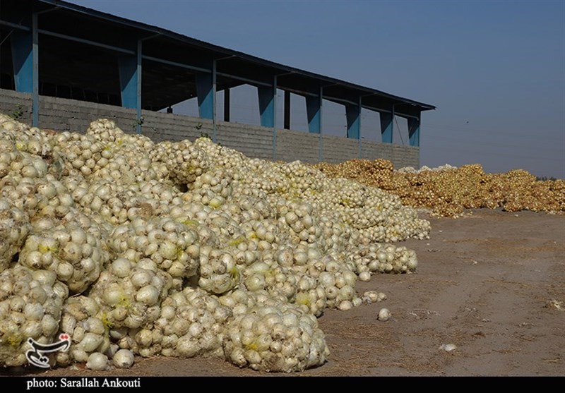 استان کرمان , کشاورزی ,