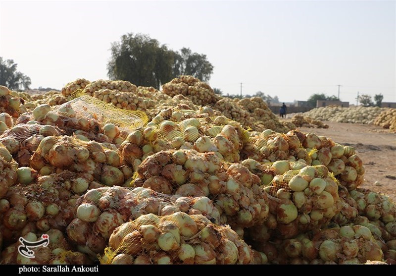 استان کرمان , کشاورزی ,