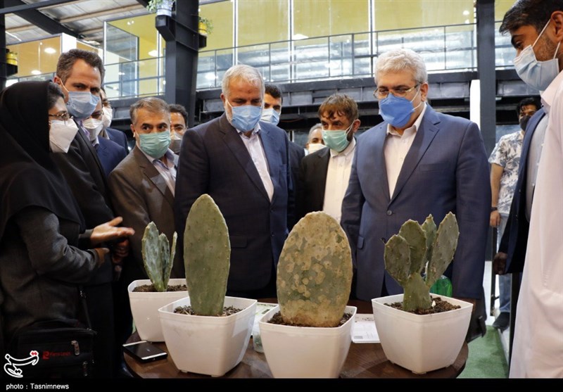 استان سیستان و بلوچستان , پارک علم و فناوری , 