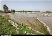 تُم بیجار - گیلان
