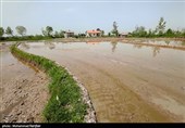 تُم بیجار - گیلان