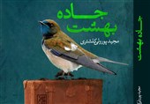 رمان «جاده بهشت» به بازار نشر آمد/ کنایه‌ای به زوج‌های جوان که کلید حل مشکل را پیش "فالگیر" جست‌وجو می‌کنند!