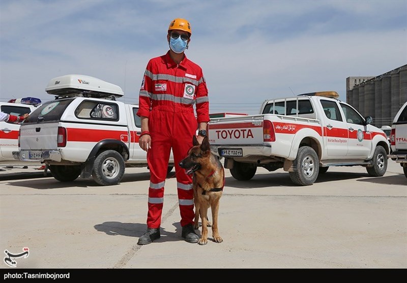 امدادرسانی , 