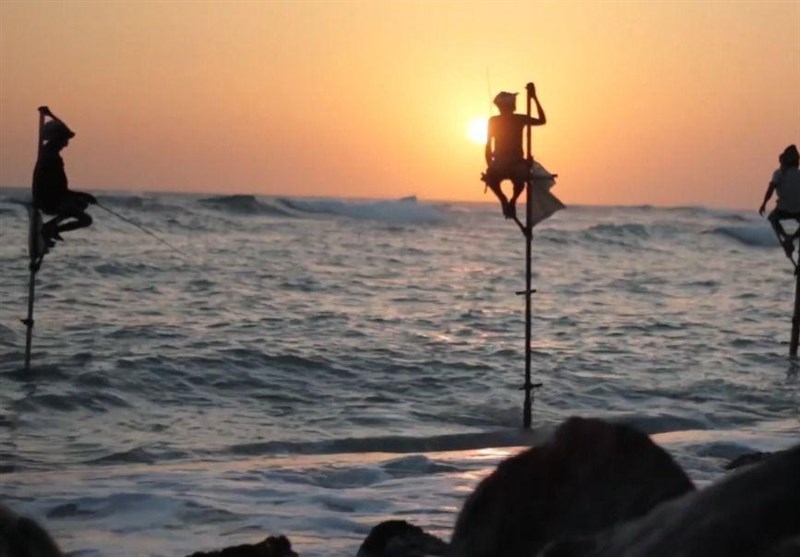 مستند , شبکه مستند , 