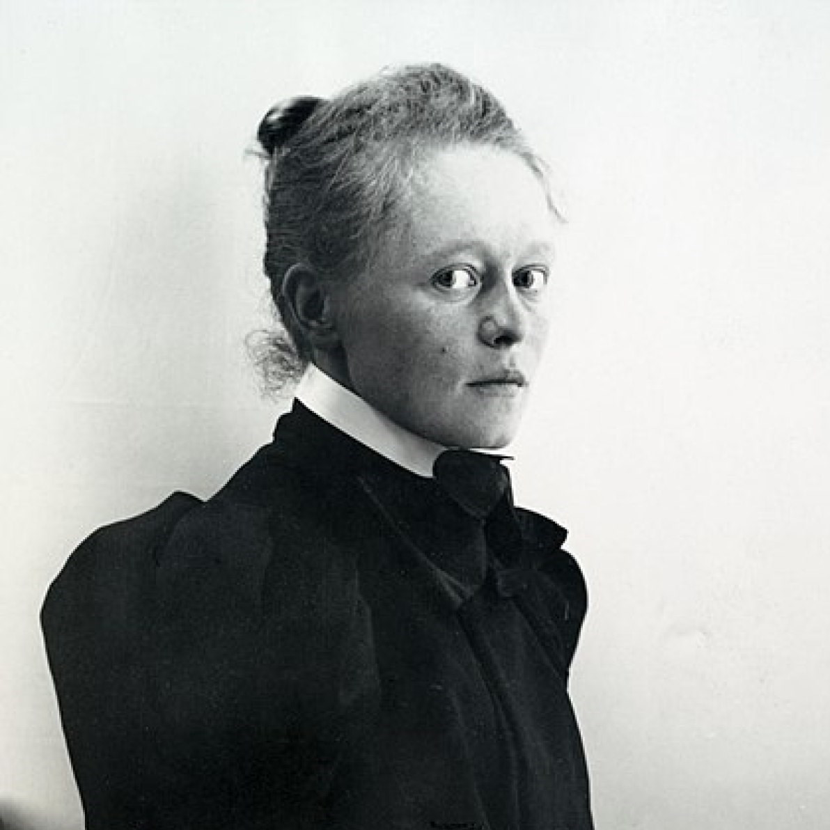 سی‌وهشتمین جشنواره جهانی فیلم فجر , سینما , فیلم , 