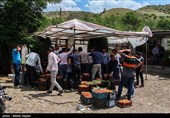 برداشت گیلاس از باغات شهرستان اهر