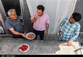 برداشت گیلاس از باغات شهرستان اهر