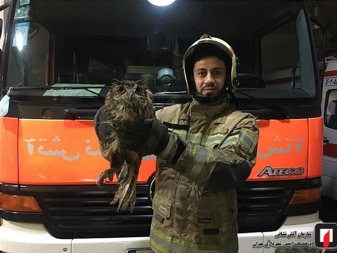 آتشنشانی , سازمان آتشنشانی تهران ,