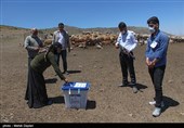 انتخابات 1400 در ییلاقات عشایری شهرستان اهر