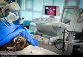 اولین عمل جراحی رباتیک از راه دور ایران و تست حیوانی ربات بومی سازی شده جراحی از راه دور سینا ساخت متخصصان ایران 