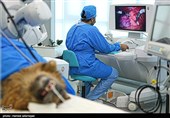اولین عمل جراحی رباتیک از راه دور ایران و تست حیوانی ربات بومی سازی شده جراحی از راه دور سینا ساخت متخصصان ایران 