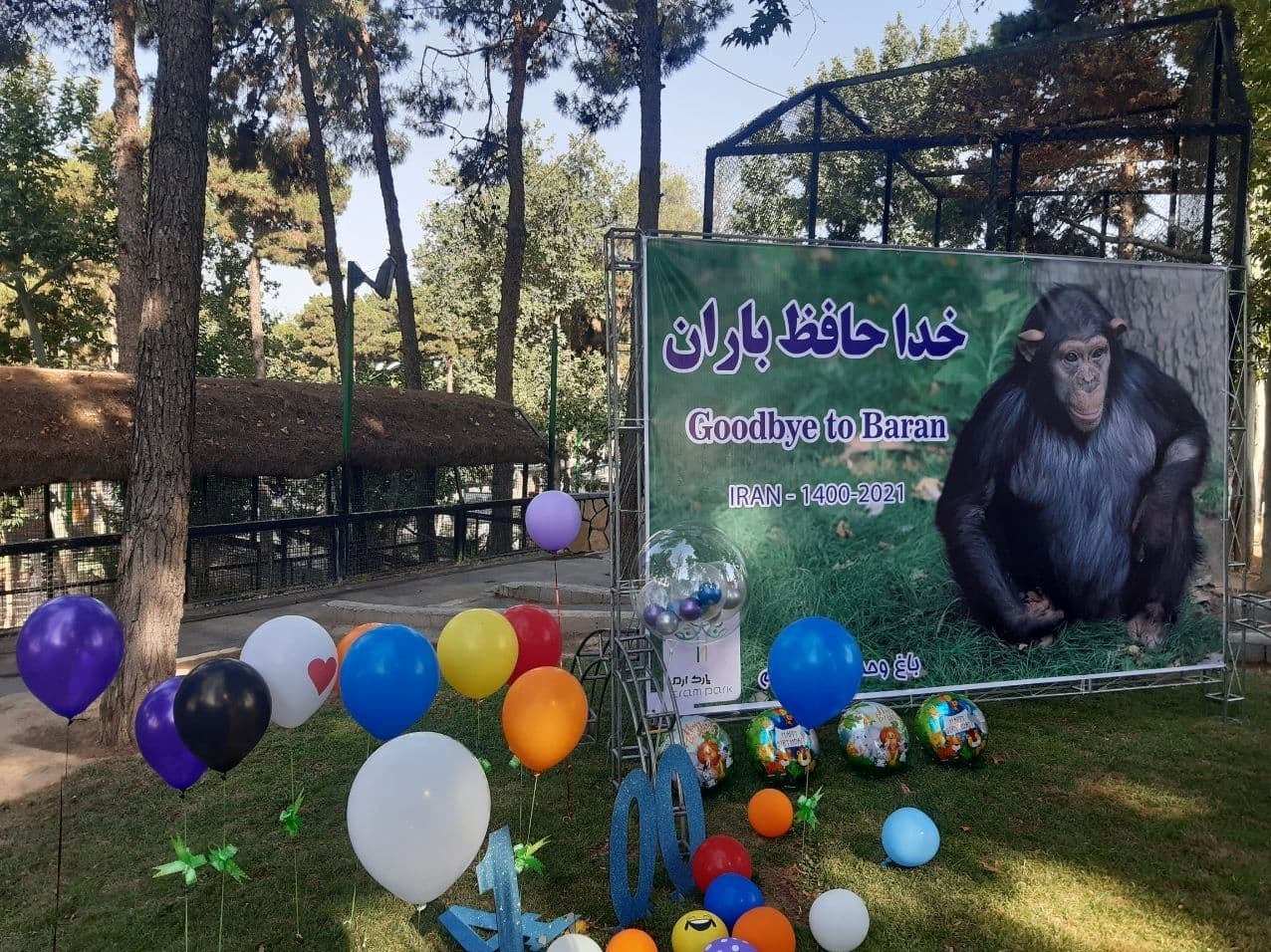 سازمان محیط زیست , 