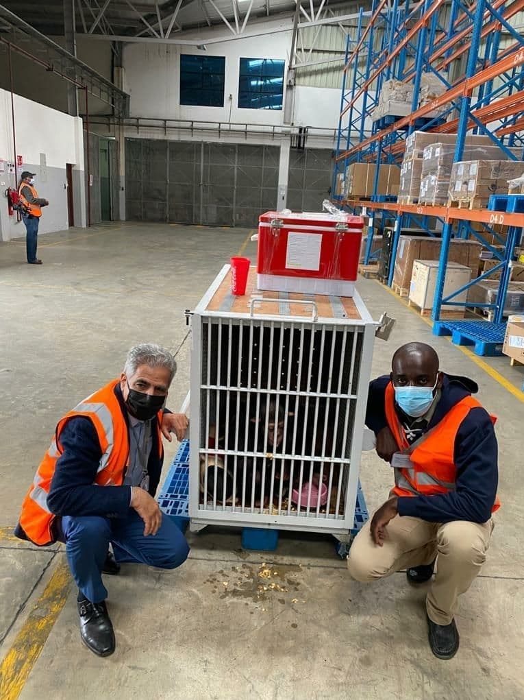 سازمان محیط زیست , 