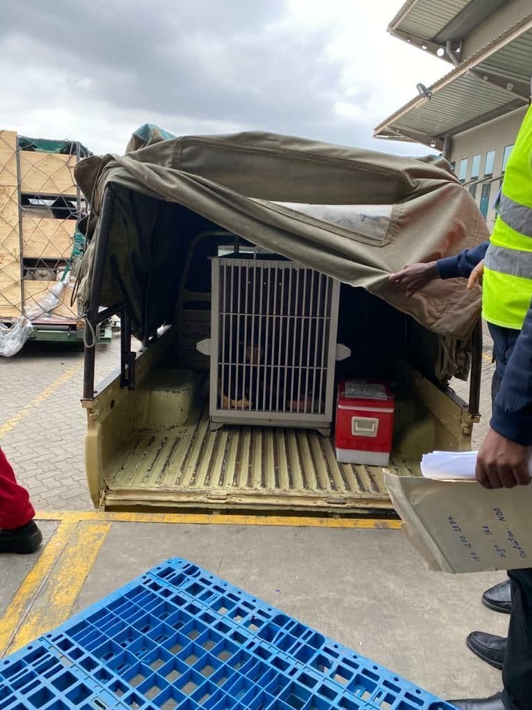 سازمان محیط زیست , 