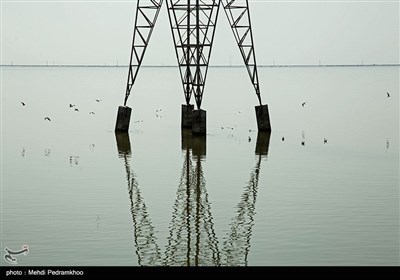 مرگ تدریجی حیات وحش در هورالعظیم