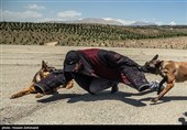 اجرای مانور توسط واحدهای رهایی گروگان  یگان ویژه فاتحین