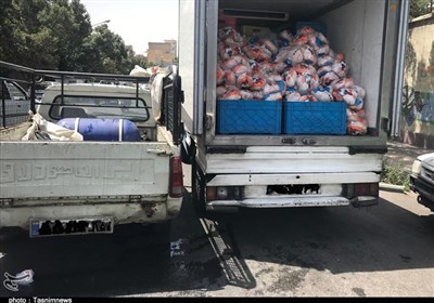 تسریع حمل نهاده‌های دامی از بنادر ضروری است