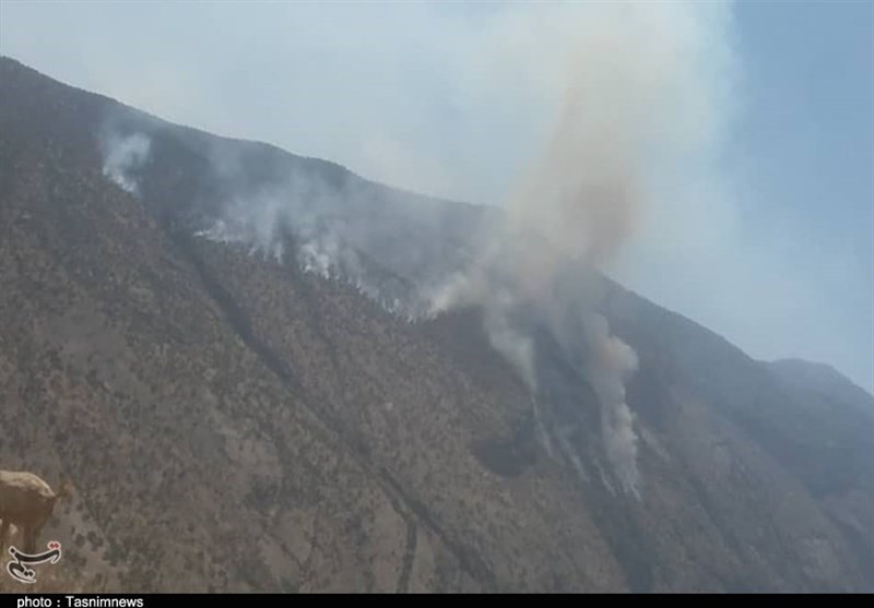 آتش سوزی جنگل ها و مراتع ,