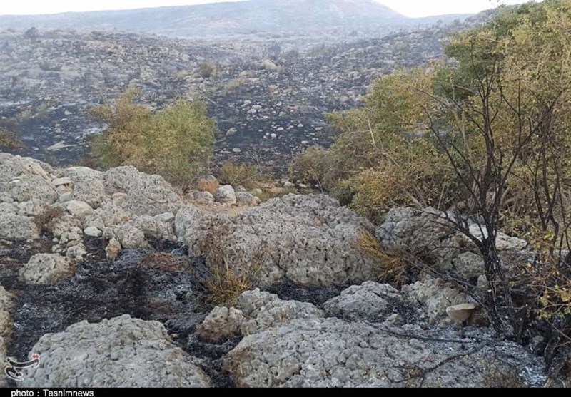 آتش سوزی جنگل ها و مراتع ,